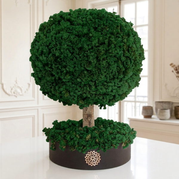 Árbol del Crecimiento - Dura 6 meses