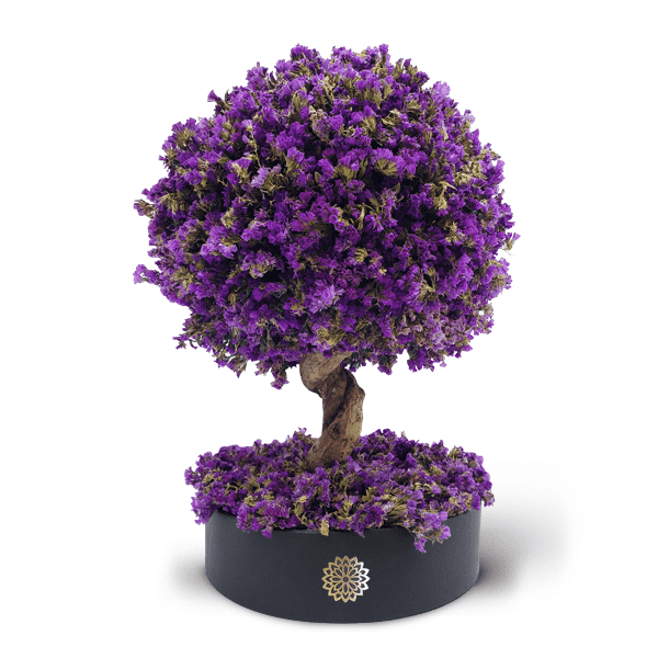 Árbol de la Abundancia -Dura 6 meses