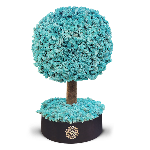 Árbol de la Prosperidad -Dura 6 meses
