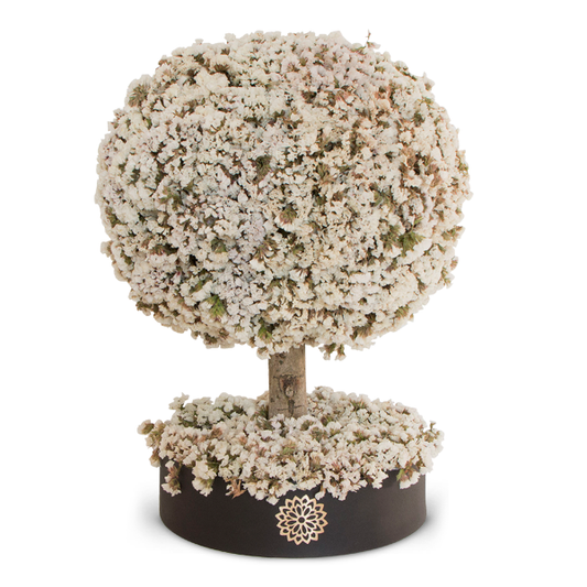 Árbol de la Armonía RN-Dura 6 meses