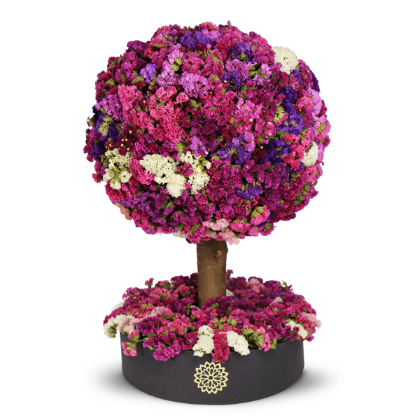 Árbol de la Suerte -Dura 6 meses