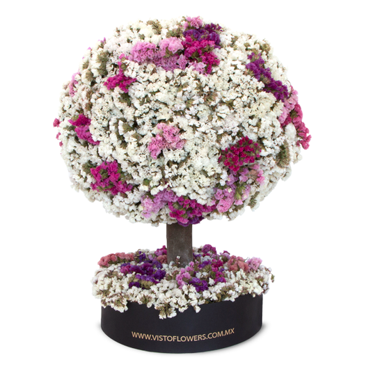 Árbol de la Vida RN - Dura 6 meses