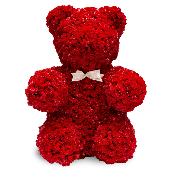 Oso Amor Dura 6 meses Visto Flowers Envio de Flores