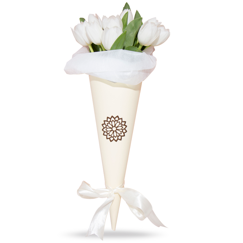10 Tulipanes Blancos Cono Blanco