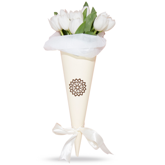 10 Tulipanes Blancos Cono Blanco