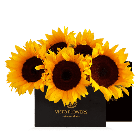caja-girasoles-estuche-negro
