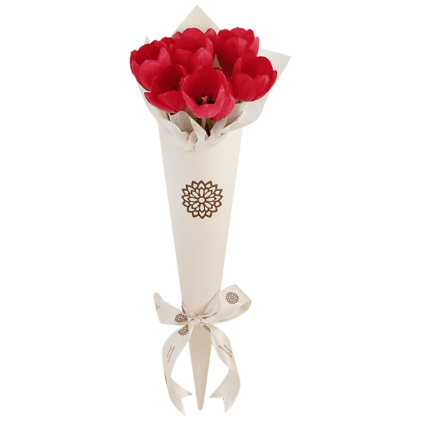 10 Tulipanes Rojos Cono Blanco