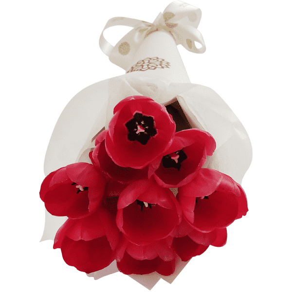 10 Tulipanes Rojos Cono Blanco