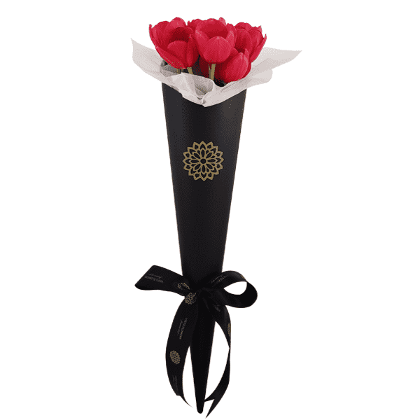 10 Tulipanes Rojos CN