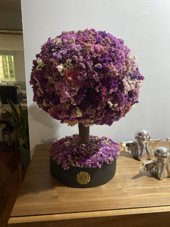 Foto de la reseña
