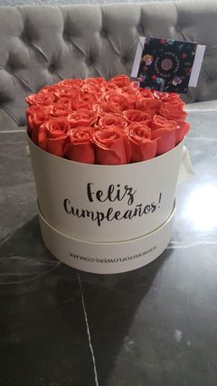 Foto de la reseña