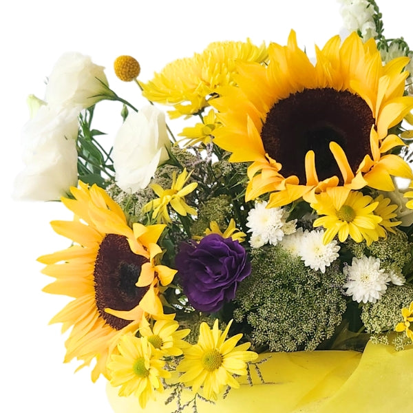 Caja FLORICIENTA - Girasoles