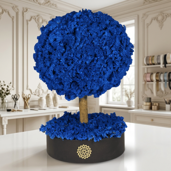 Árbol de la Energía  RN-Dura 6 meses