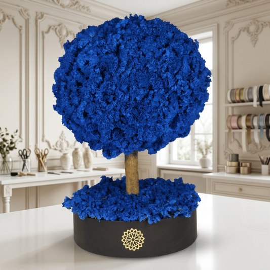Árbol de la Energía  RN-Dura 6 meses