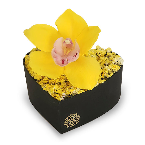 Flor de Orquídea Amarilla