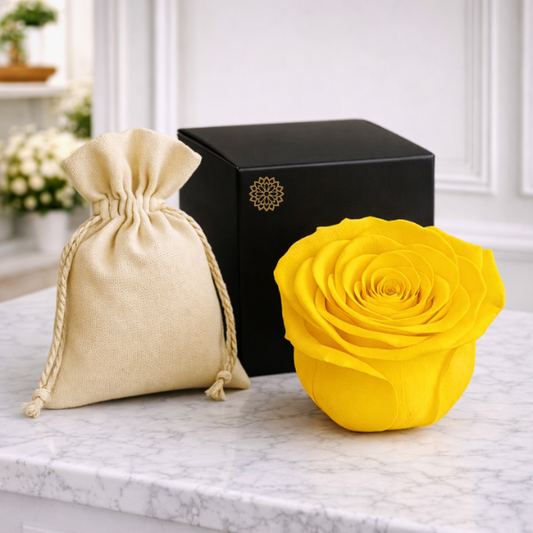 Una es Suficiente-Rosa Preservada Premium