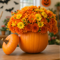 Calabaza HALLOWEEN