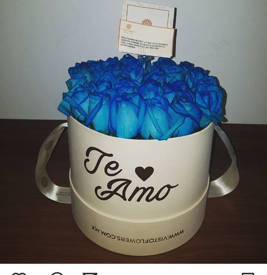 CAJA FRASE ROSAS AZULES