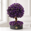 Árbol de la Abundancia -Dura 6 meses