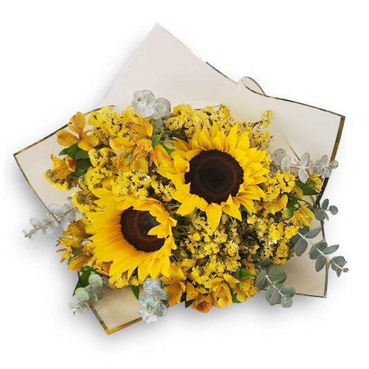 Simonetta Girasoles