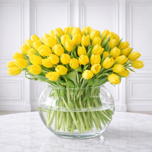 70 Tulipanes Frescos Amarillos
