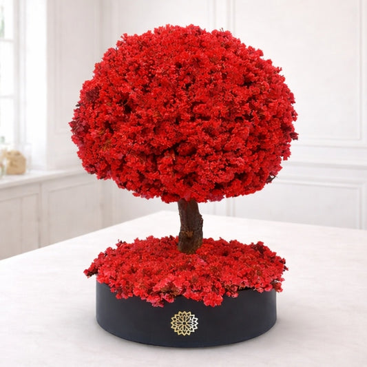 Árbol de la Pasión RN-Dura 6 meses