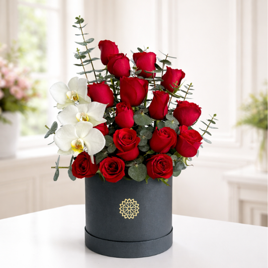 Arreglo Roma Negra Orqui