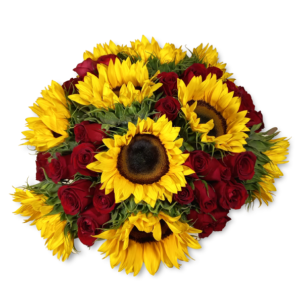 Girasoles y Rosas Rojas  RN