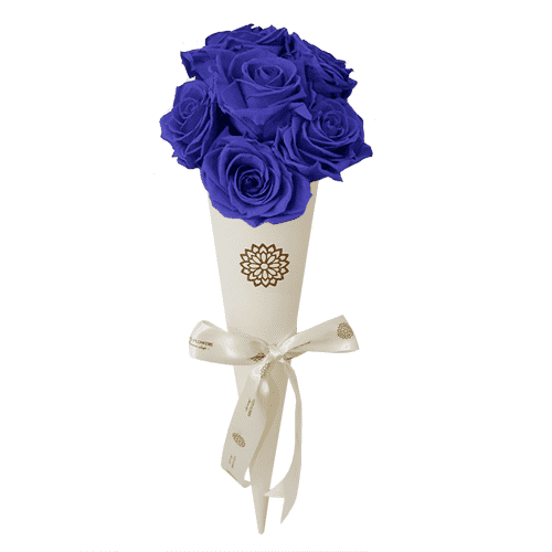 Rosas Eternas – Visto Flowers | Envio de Flores