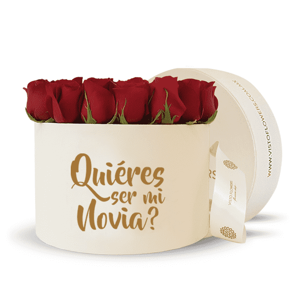 Caja de Rosas - Quieres ser mi novia?