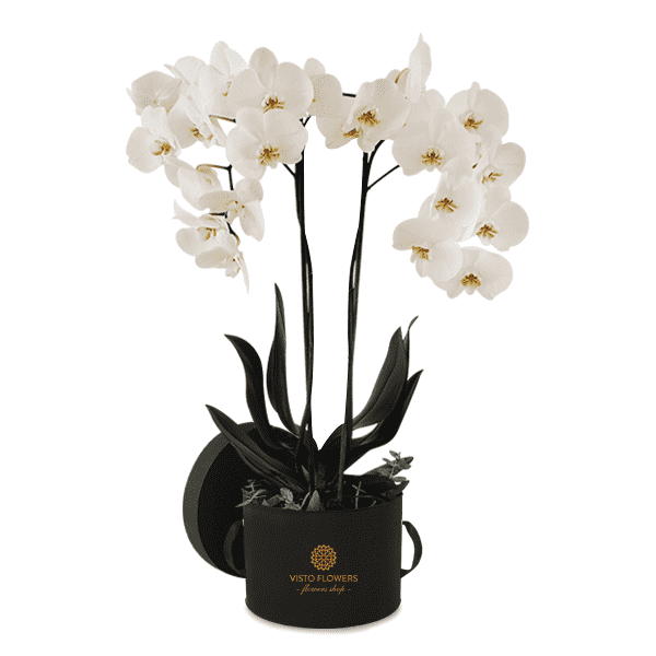 Caja Redonda Negra de Doble Orquídea