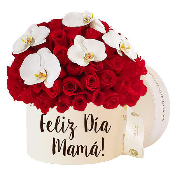 Hongo de  Rosas Rojas y Orquídeas -  Feliz Día Mamá