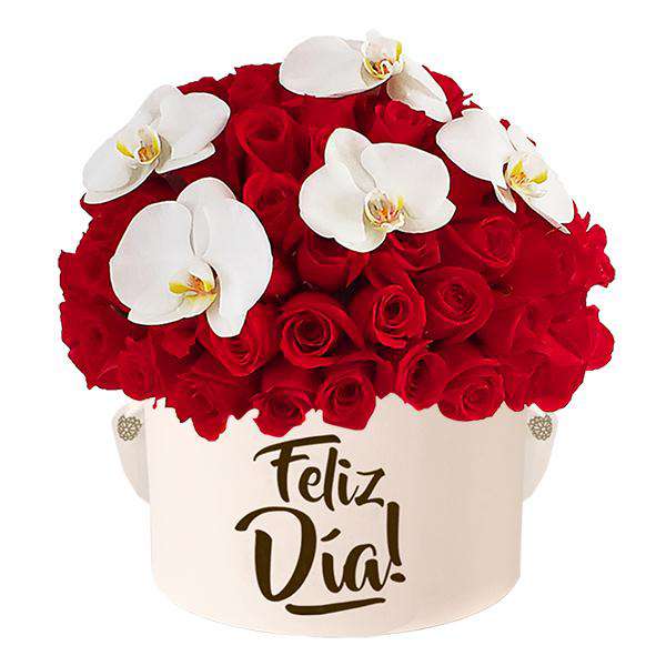 Hongo de  Rosas Rojas y Orquídeas - Feliz Día