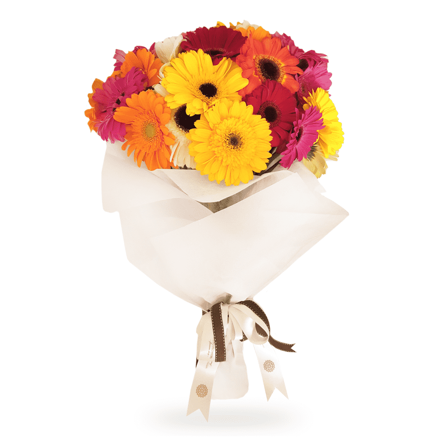 ramo-gerberas-multicolor