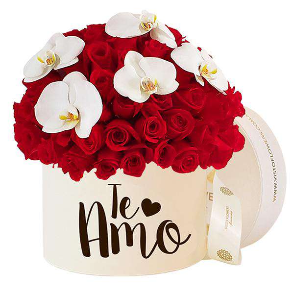 Hongo Rosas y Orquídeas - Te Amo Exp